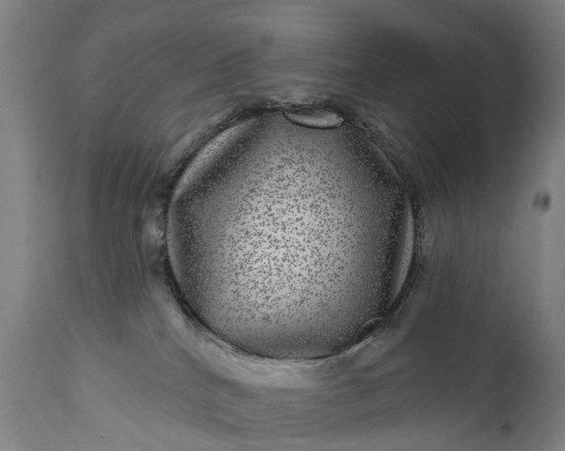 X0000111640040200907311303