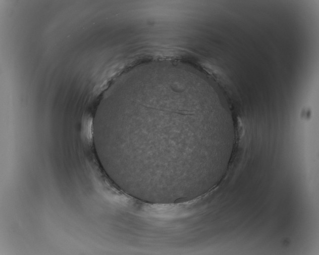 X0000111640041200907311303