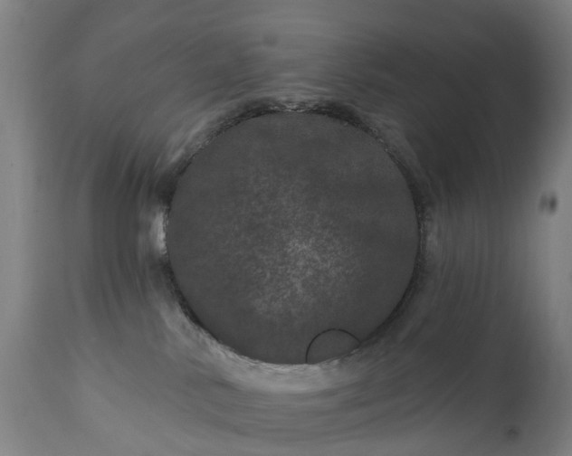 X0000111640042200907311303