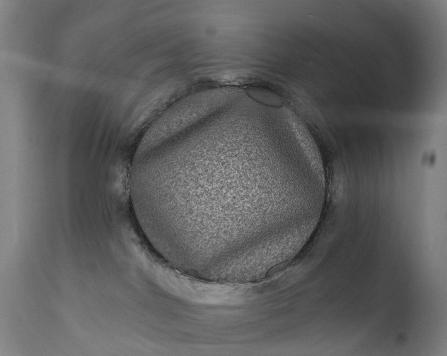 X0000111640044200907311303