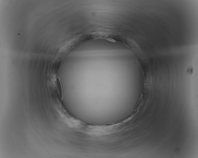 X0000111640045200907311303