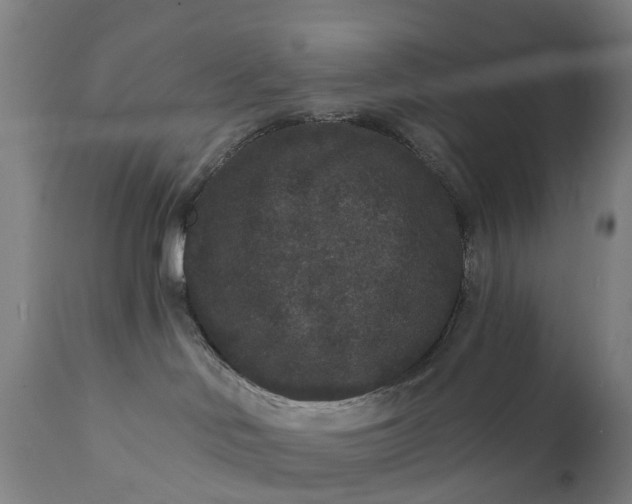 X0000111640046200907311303