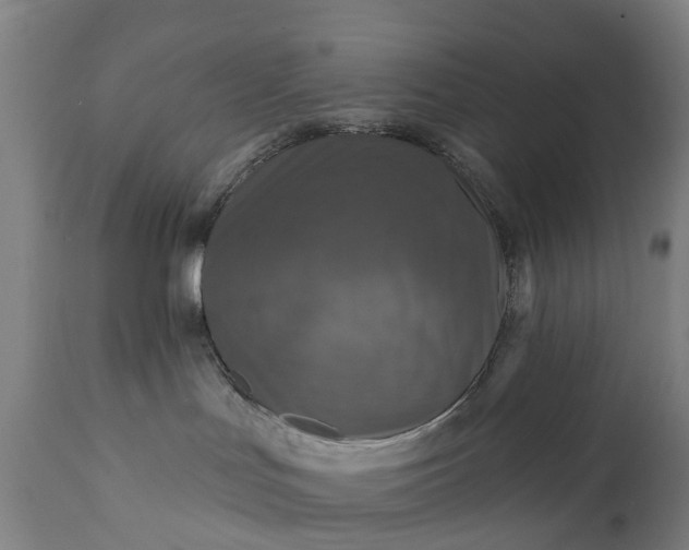 X0000111640047200907311303