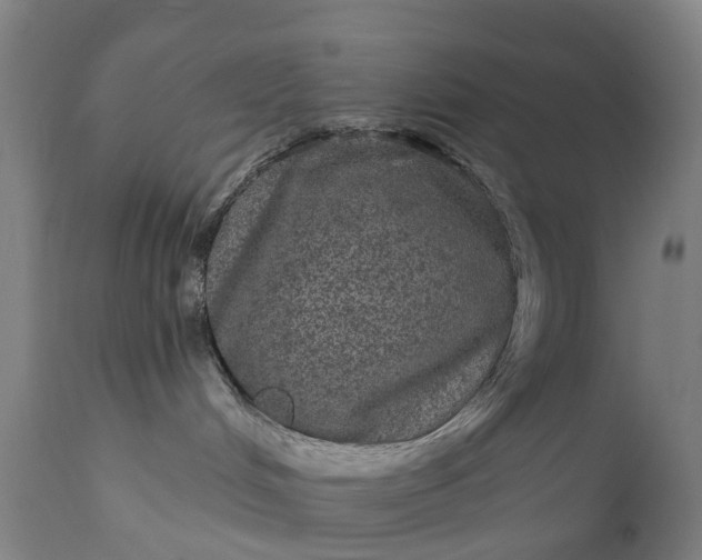 X0000111640048200907311303