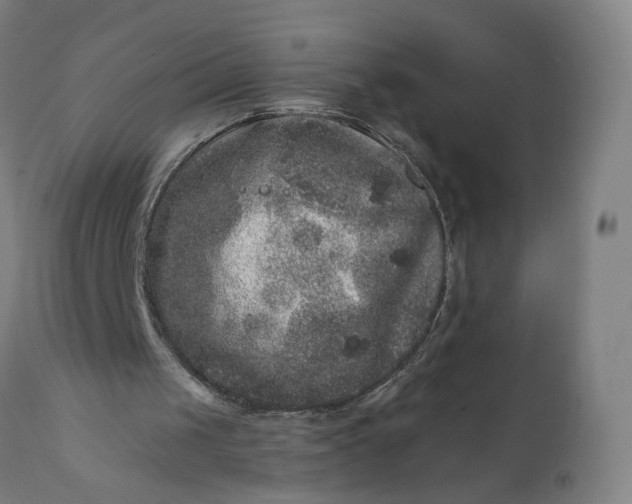 X0000111640049200907311302