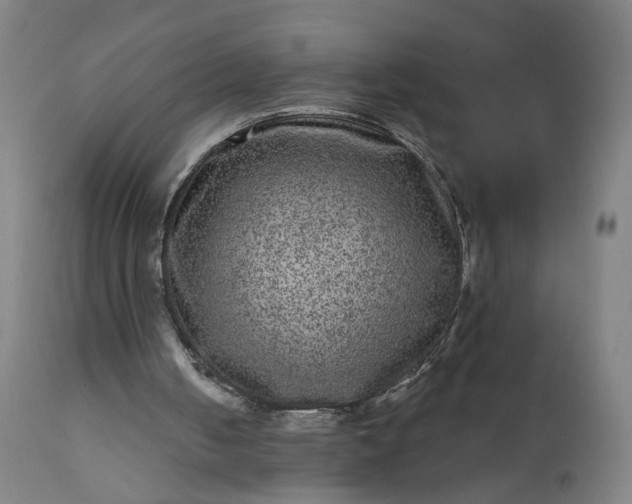 X0000111640050200907311302