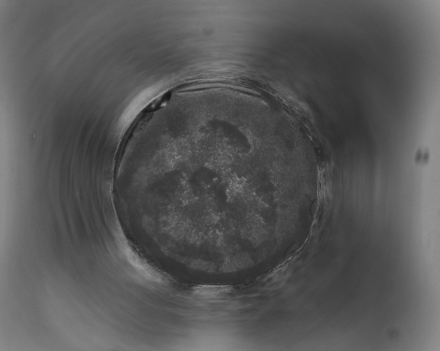 X0000111640051200907311302