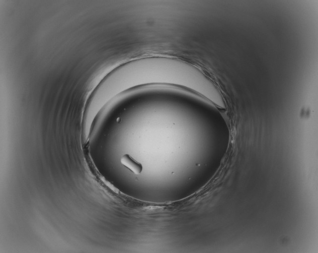 X0000111640052200907311302