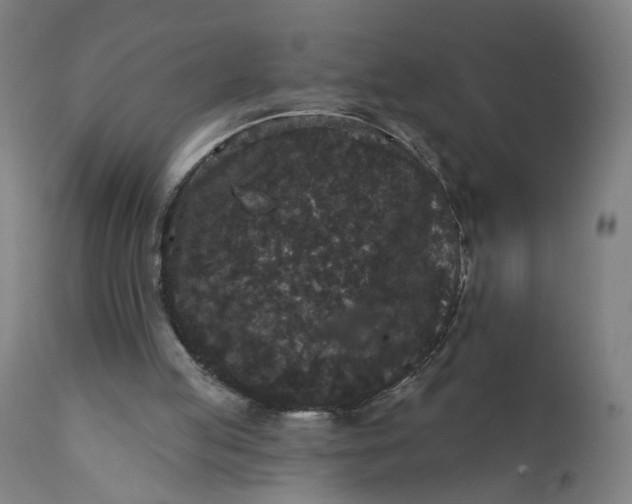 X0000111640053200907311302