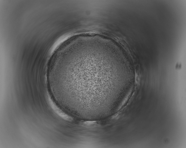 X0000111640054200907311302