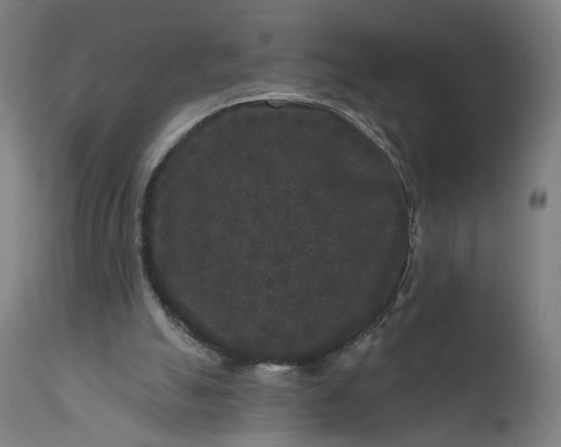 X0000111640055200907311302