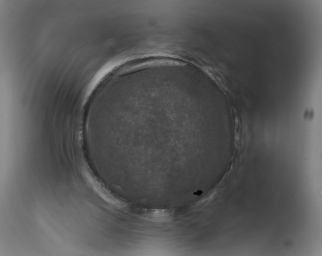 X0000111640056200907311302