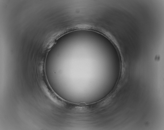 X0000111640057200907311302