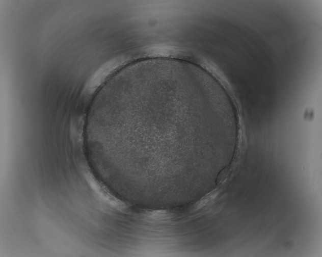 X0000111640058200907311302