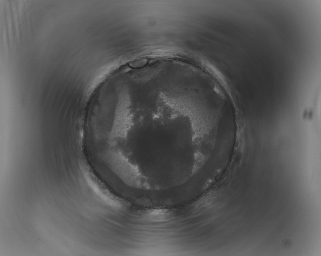 X0000111640059200907311302