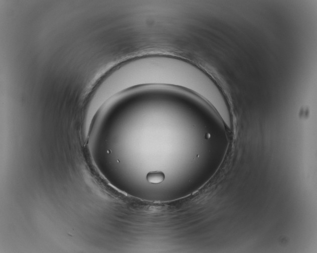 X0000111640060200907311302