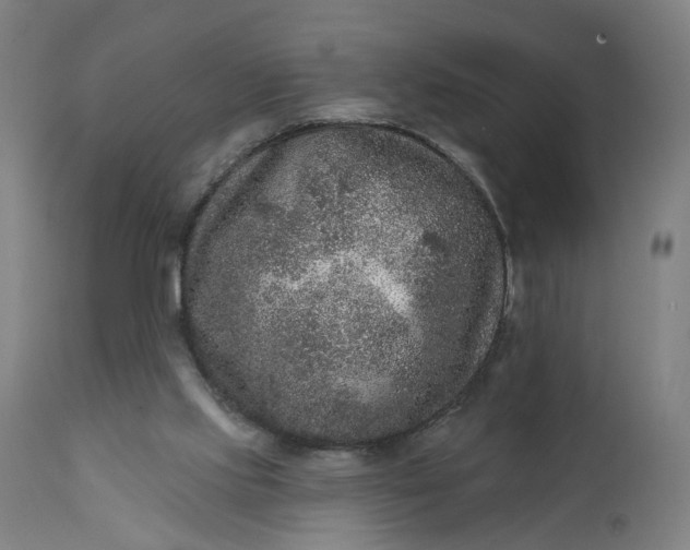 X0000111640061200907311302