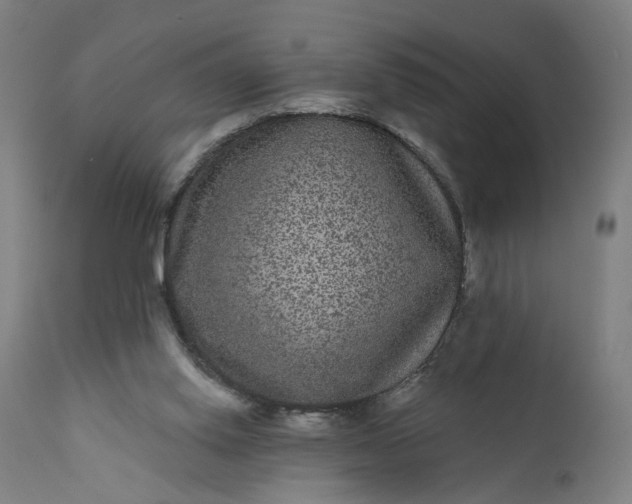 X0000111640062200907311302