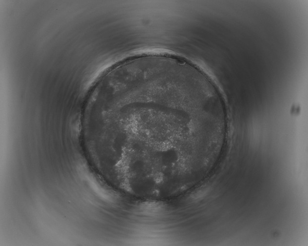 X0000111640063200907311302