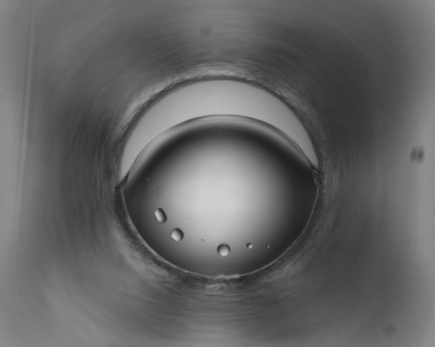 X0000111640064200907311302