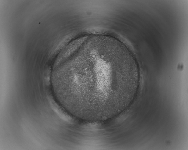 X0000111640065200907311302