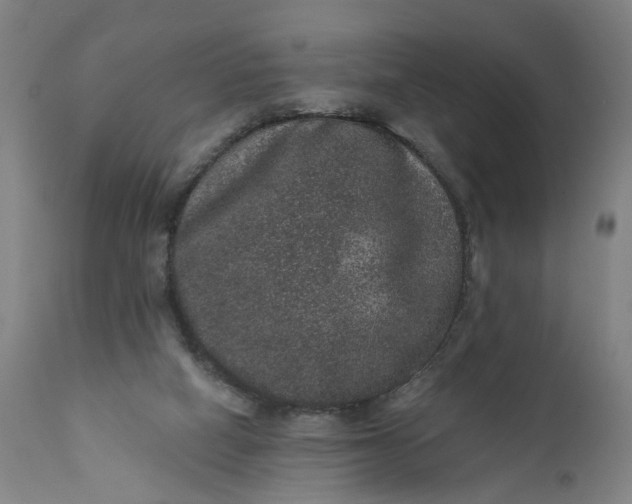 X0000111640066200907311302