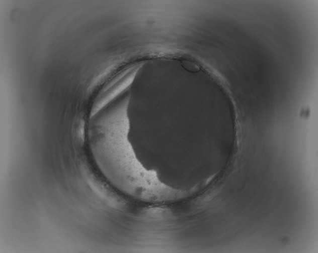 X0000111640067200907311302