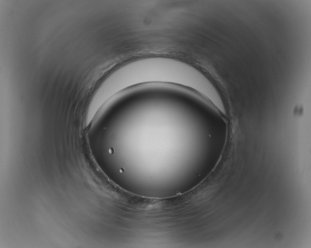 X0000111640068200907311302