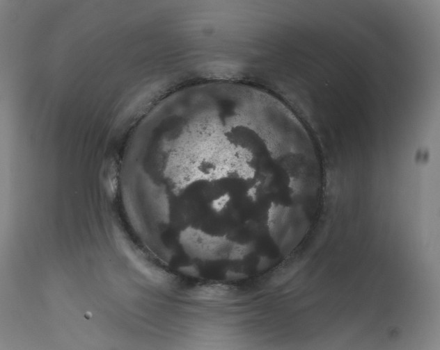 X0000111640069200907311303