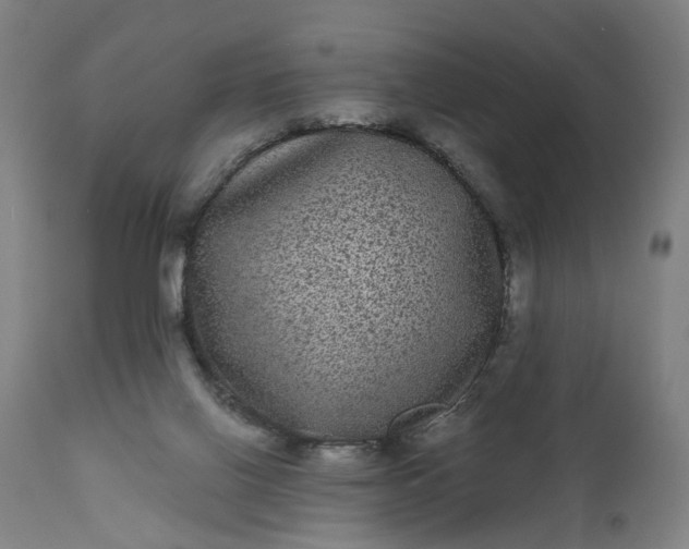 X0000111640070200907311303