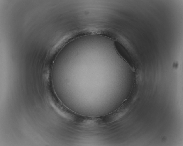 X0000111640072200907311303