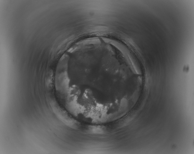 X0000111640073200907311303