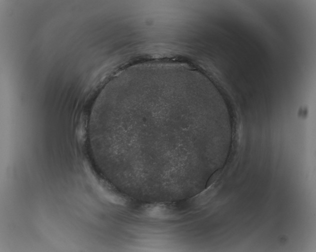 X0000111640074200907311303