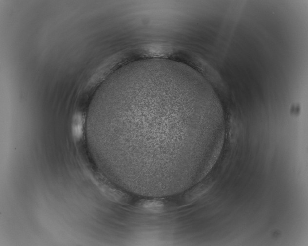 X0000111640075200907311303