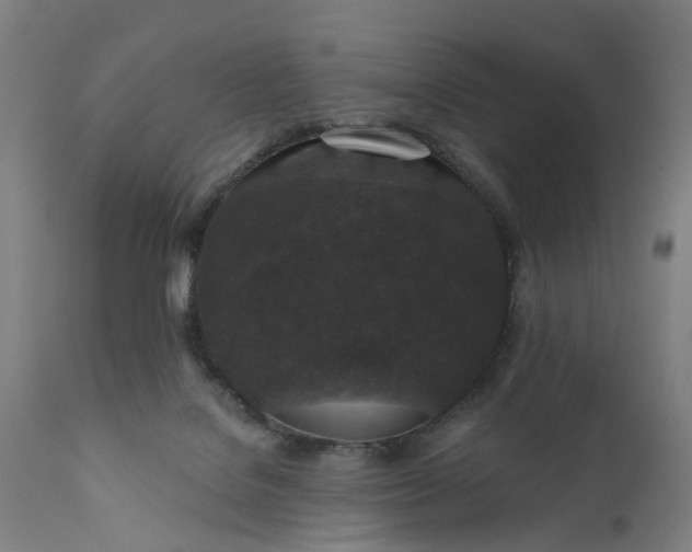 X0000111640076200907311303