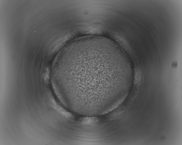 X0000111640077200907311303