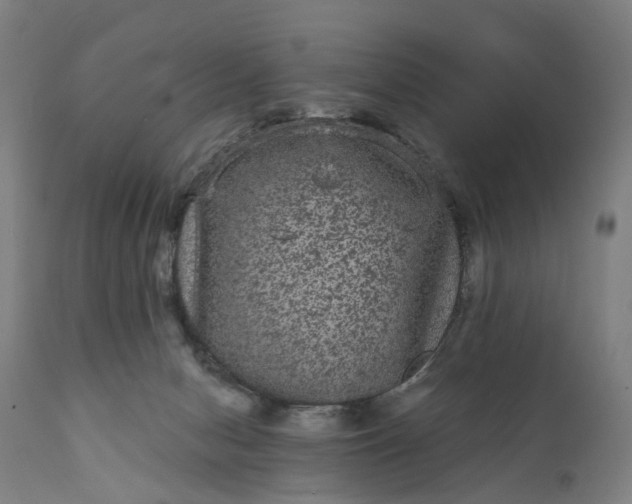 X0000111640078200907311303