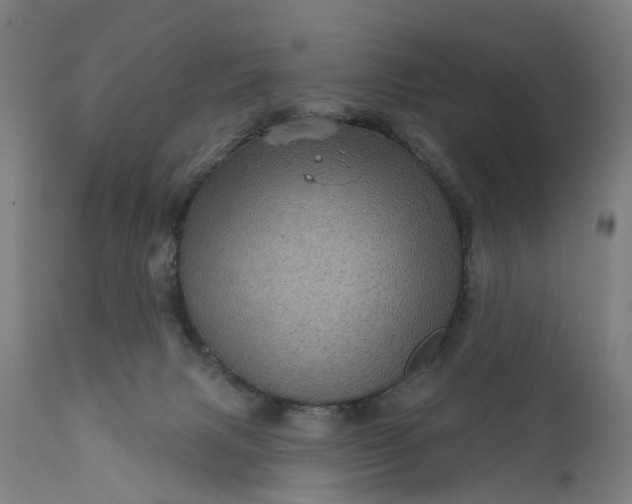 X0000111640079200907311303