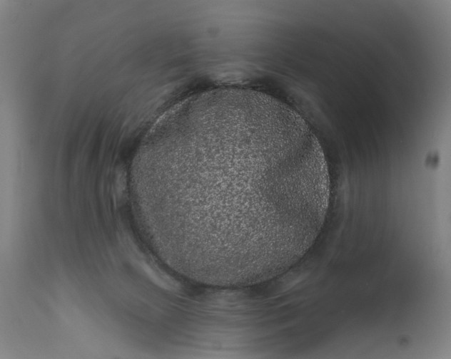 X0000111640081200907311303