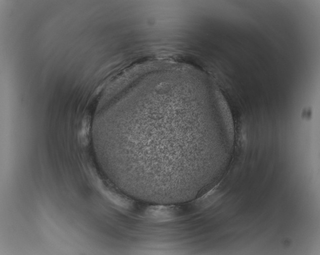 X0000111640082200907311303