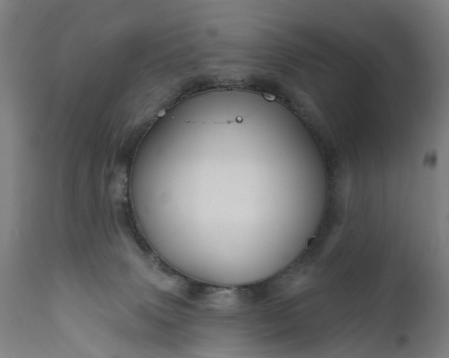 X0000111640083200907311303