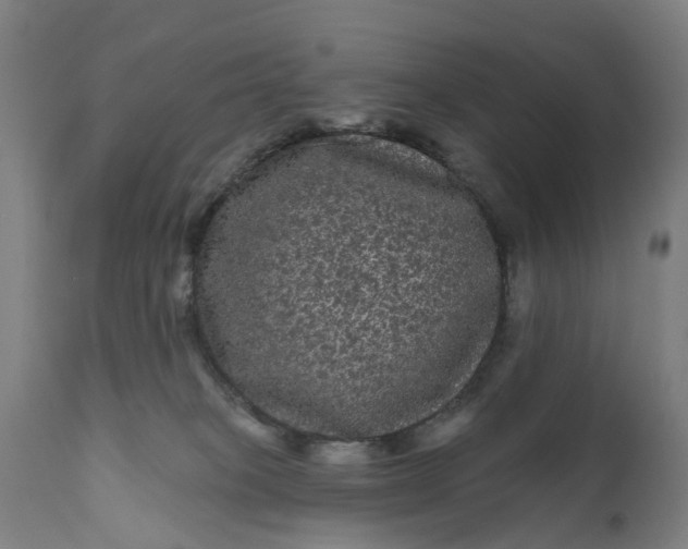 X0000111640085200907311303