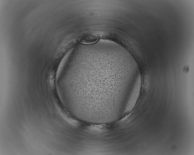 X0000111640086200907311303