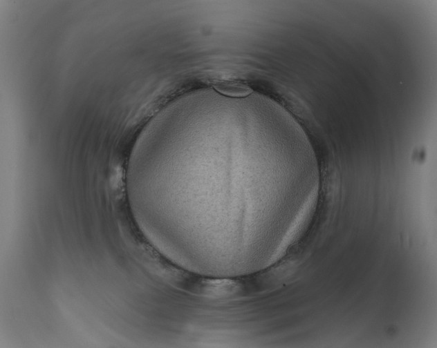 X0000111640087200907311303