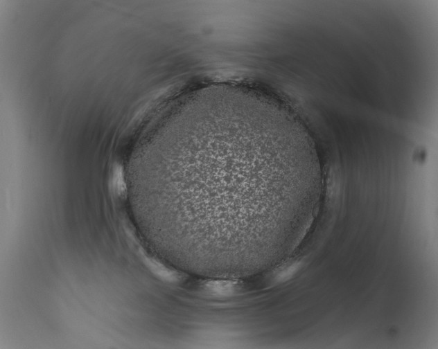 X0000111640089200907311303