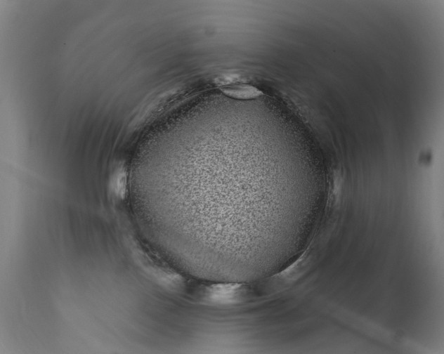 X0000111640090200907311303