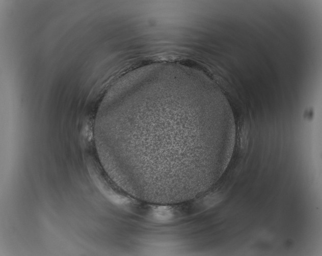 X0000111640091200907311303