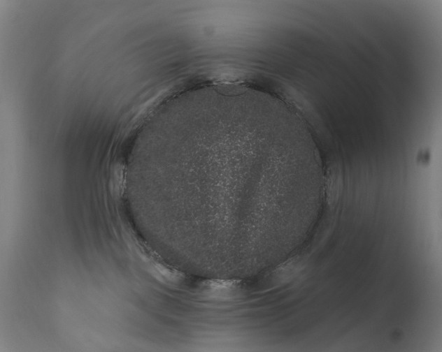 X0000111640093200907311303