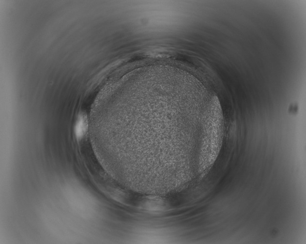 X0000111640095200907311303