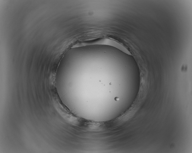 X0000111640096200907311303